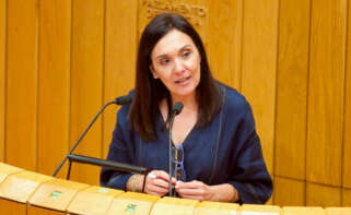 La portavoz de Medio Rural del PSdeG en el Parlamento, Carmen Dacosta