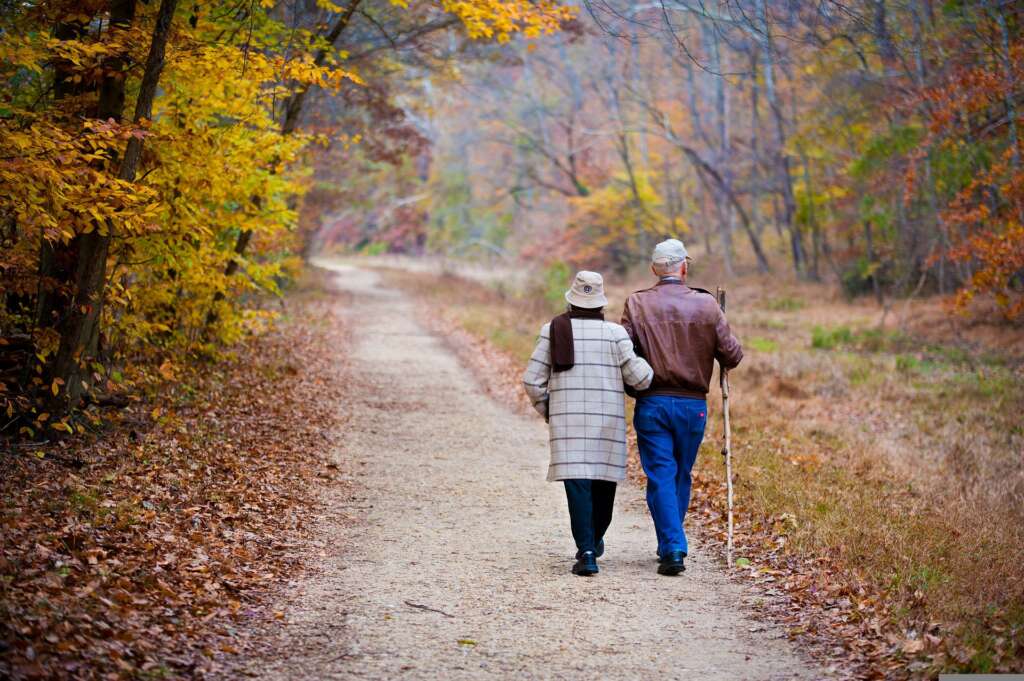 Una pareja camina por el bosque. Pixabay.