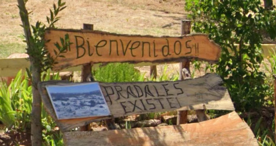 Cartel que se puede ver en Pradales: ¡Pradales existe! Foto: Google Maps