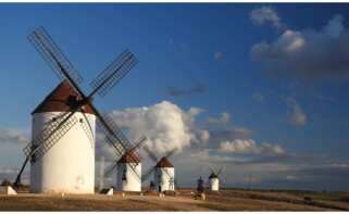 Molinos en Castilla La Mancha. Foto: Portal de turismo de Castilla La Mancha.