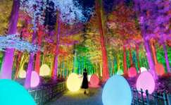 El despliegue de luces de TeamLab. Foto TeamLab