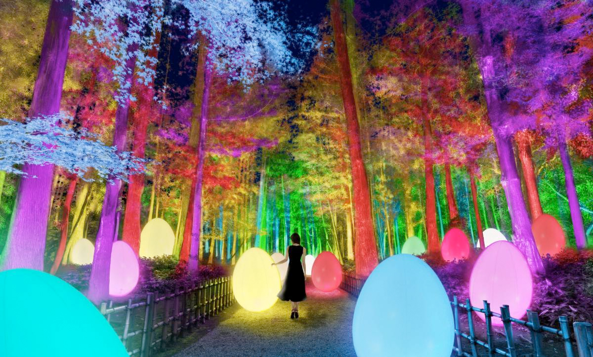 El despliegue de luces de TeamLab. Foto TeamLab