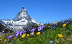 Zermatt.-Foto-Claudia-Beyli-en-Pixabay