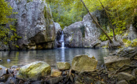 El Parque Natural de Los Alcornocales en Cádiz