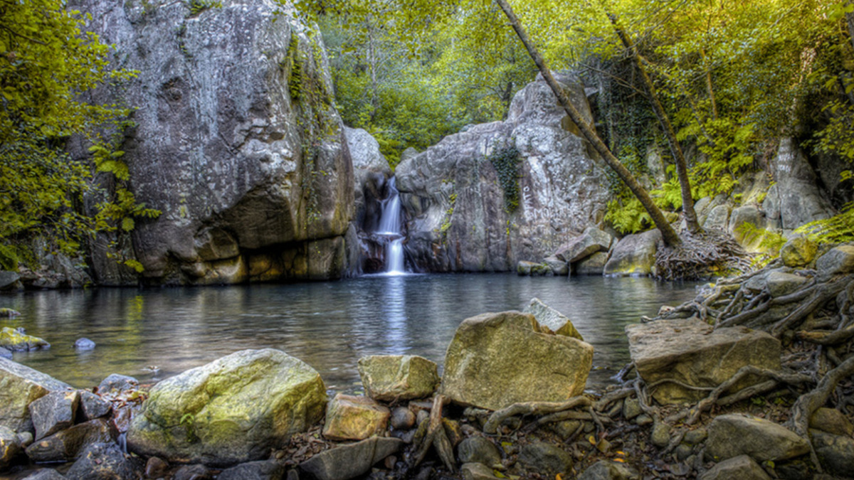 El Parque Natural de Los Alcornocales en Cádiz