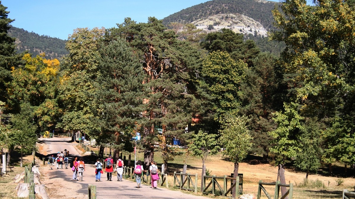 Las rutas de senderismo por la Sierra de Madrid
