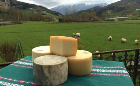 Quesos y ovejas en la ruta del queso Idiazabal