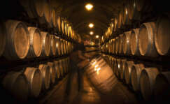 Vino envejeciendo en barricas de roble de la bodega de Albelda FOTO: Bodega Vinícola Real