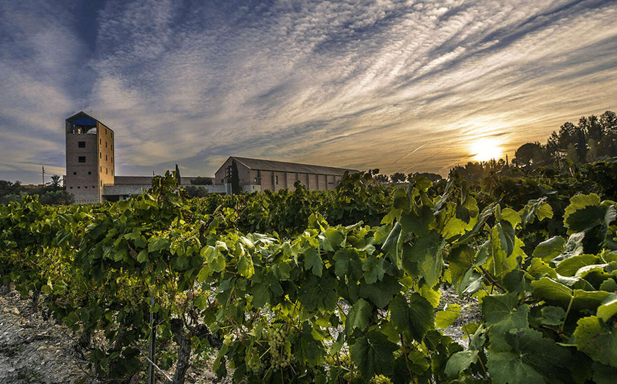 La bodega de Espiells de Juvé & Camps Foto: Juvé & Camps