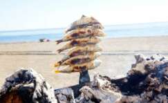 Espetos de sardina en Málaga