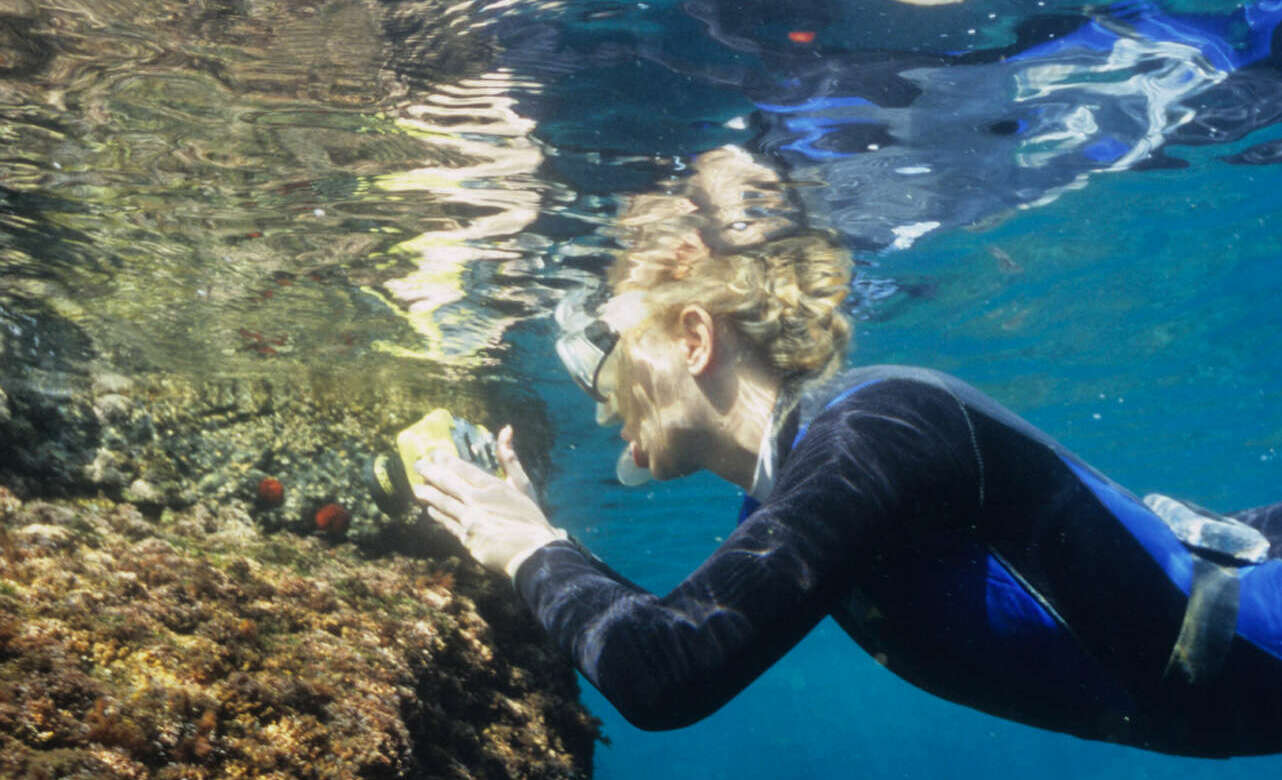 Snorkel en la Costa Brava