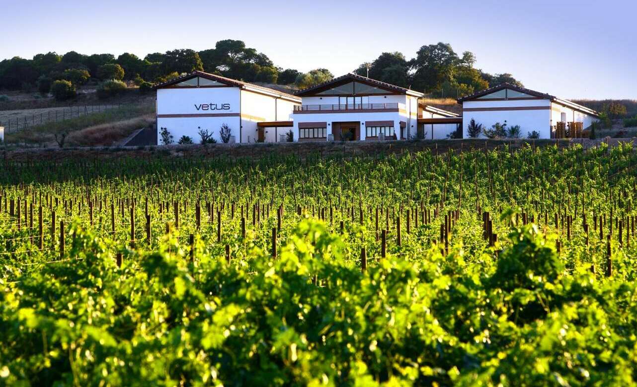 Bodega Vetus, Toro