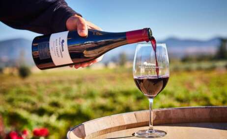 Vino petit verdot