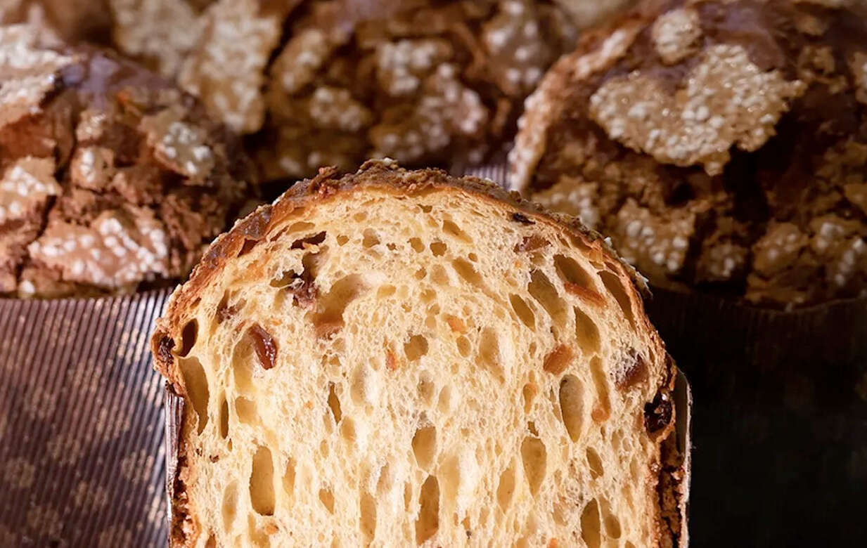 Panettone