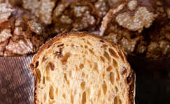 Panettone