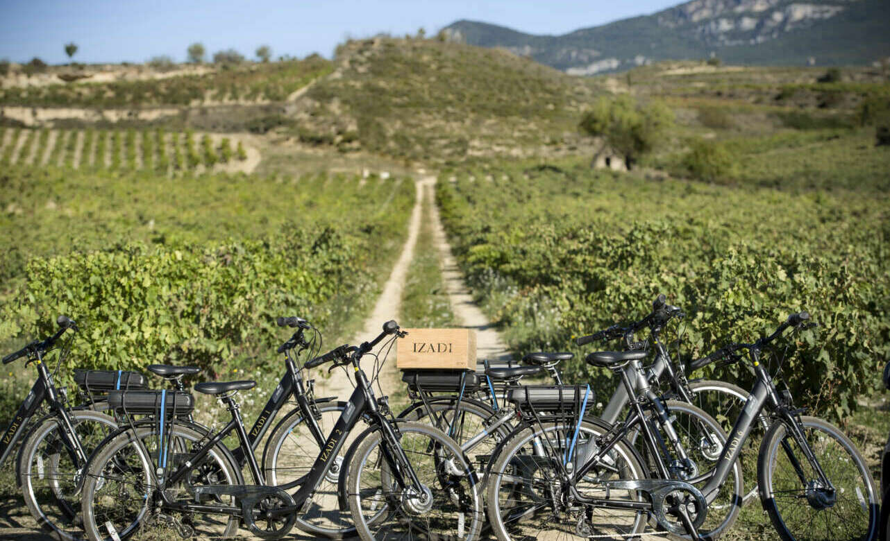 Enoturismo en bici eléctrica