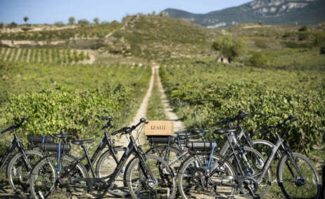 Enoturismo en bici eléctrica