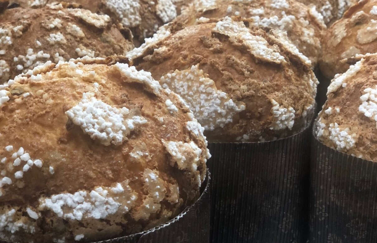 Panettone de Vallflorida Xocolaters
