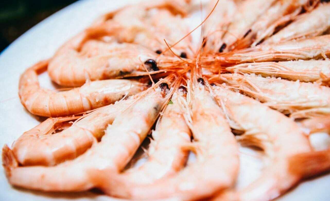Plato de gamba blanca de Huelva
