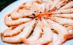 Plato de gamba blanca de Huelva