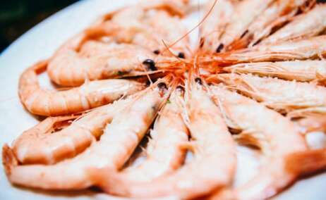 Plato de gamba blanca de Huelva