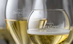 copas de cava de Juve & Camps.