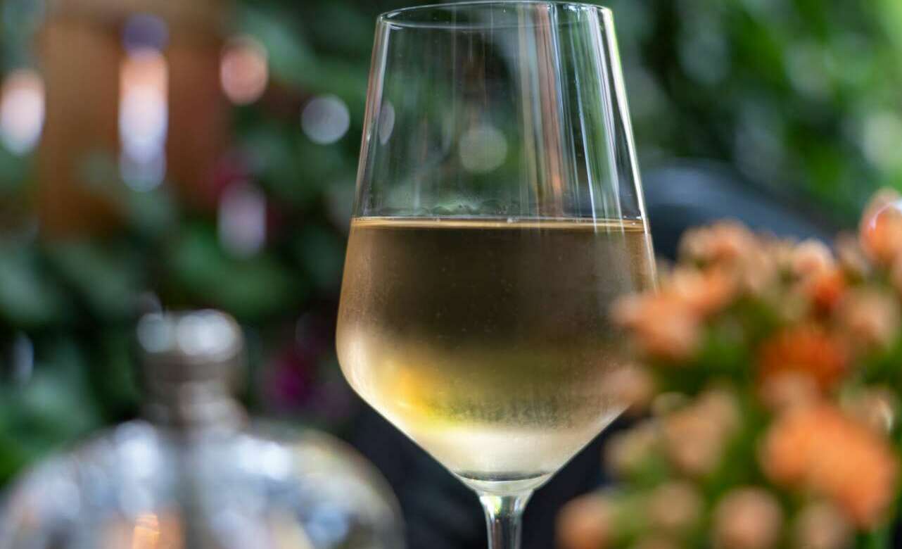 Los mejores albariños para acompañar cualquier plato.