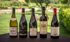 Gama de vinos de Familia Torres.