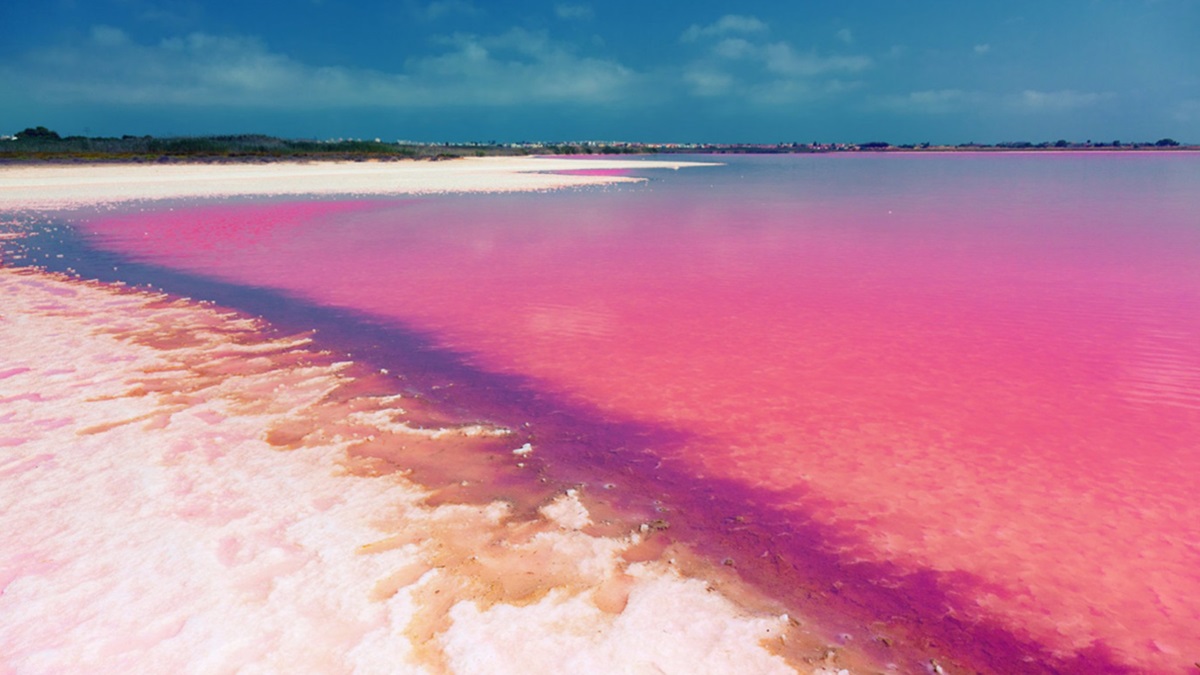 La Laguna Rosa de Torrevieja en Alicante