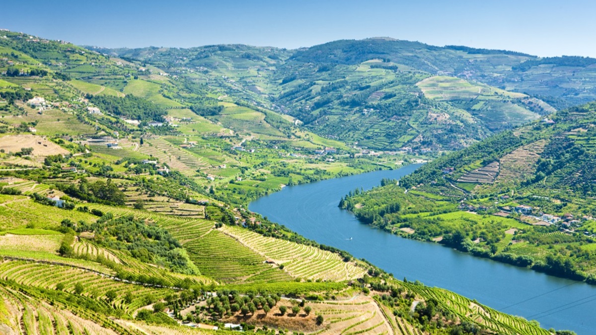 El Valle del Duero en Portugal