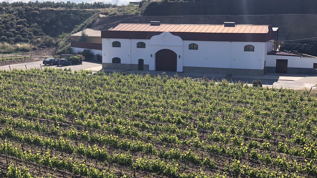 La Bodega Muñana en Granada