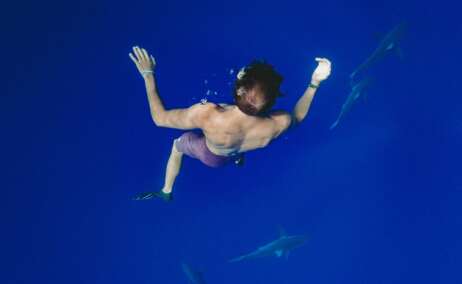 Una persona nadando con tiburones