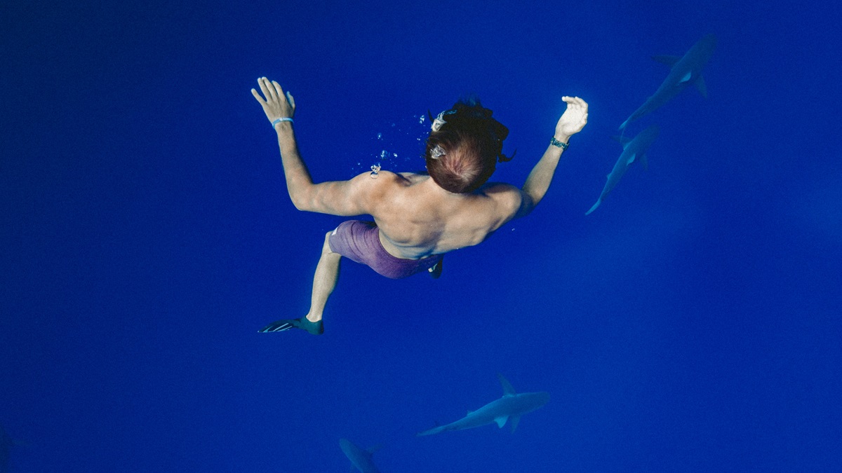 Una persona nadando con tiburones