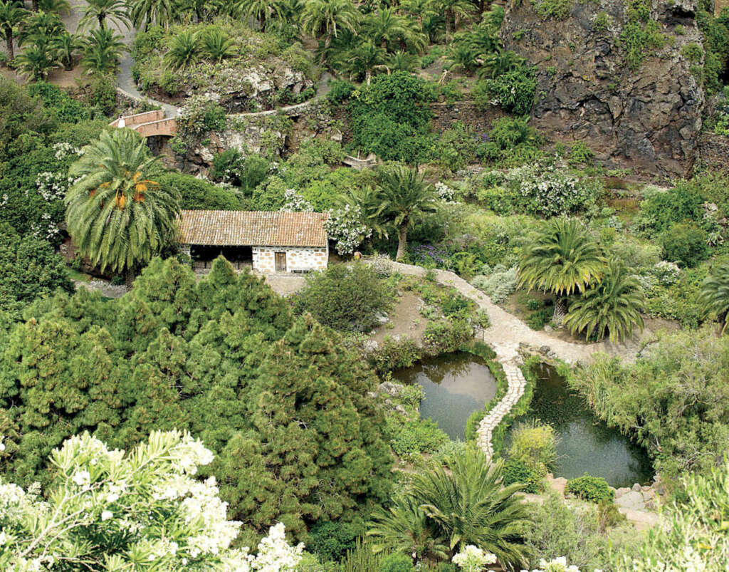 Un paraíso verde en el Jardín Canario