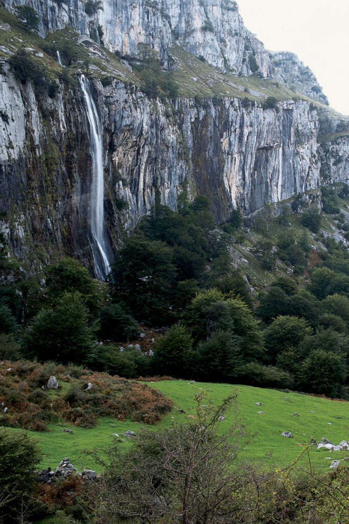 Nacimiento del río Asón