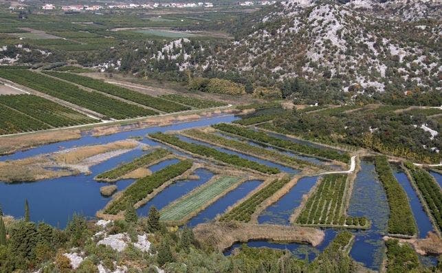 1024px Fields near Metkovic 4