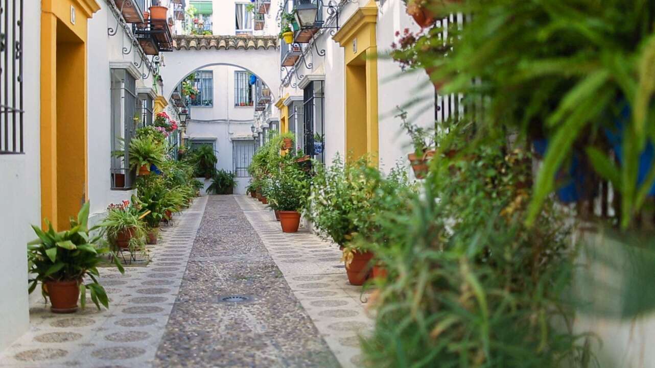 Calleja del Indiano Cordoba