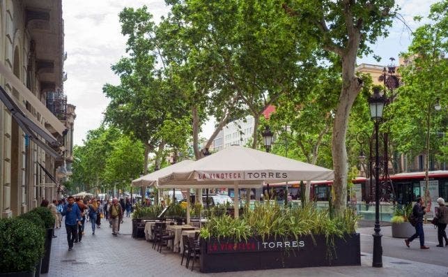 180522 La Vinoteca Torres Terraza por Enrique Marco