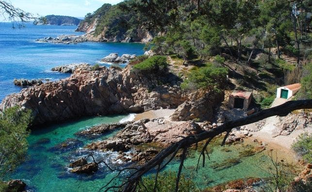 2016 03 CALA CANYERS PALAMOS