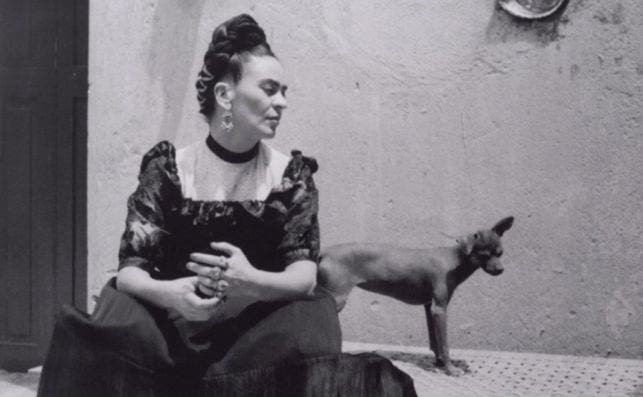 2019 Frida Kahlo Appearances 2