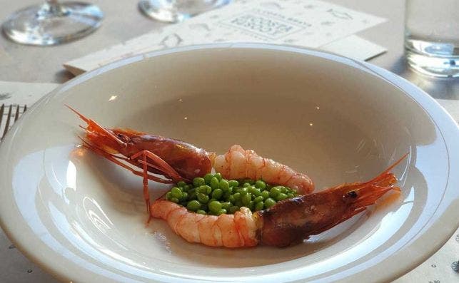 gamba de palamÃ³s, flor de guisante y panceta ibÃ©rica. marc gascons