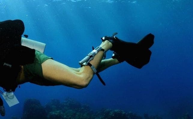 Materiales de submarinismo en un crucero.