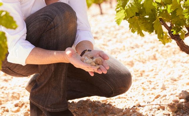 El Terroir en la Ribera de Duero. Foto: Jordi CatalÃ 