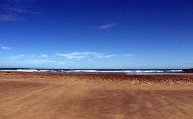 Bethells Beach