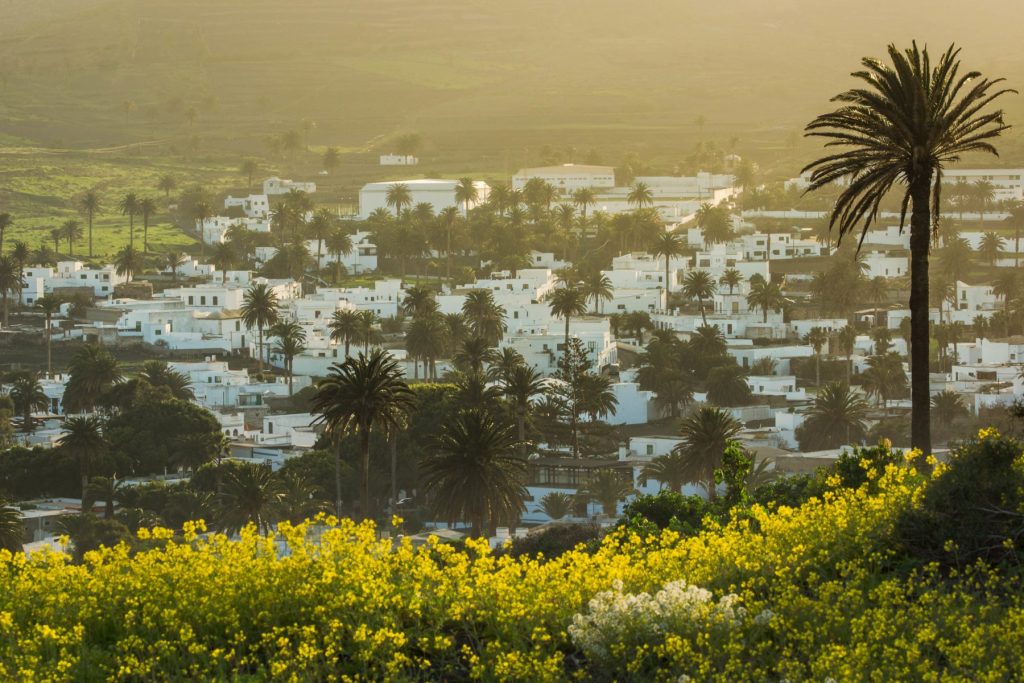 Haría, la villa de las mil palmeras. Foto: Turismo de Lanzarote
