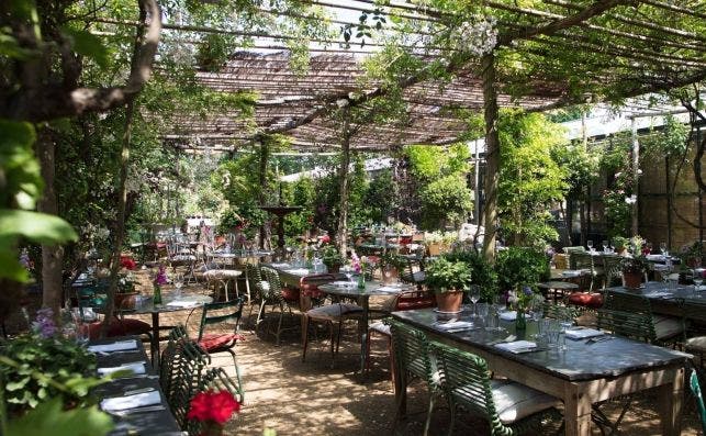 Petersham nurseries