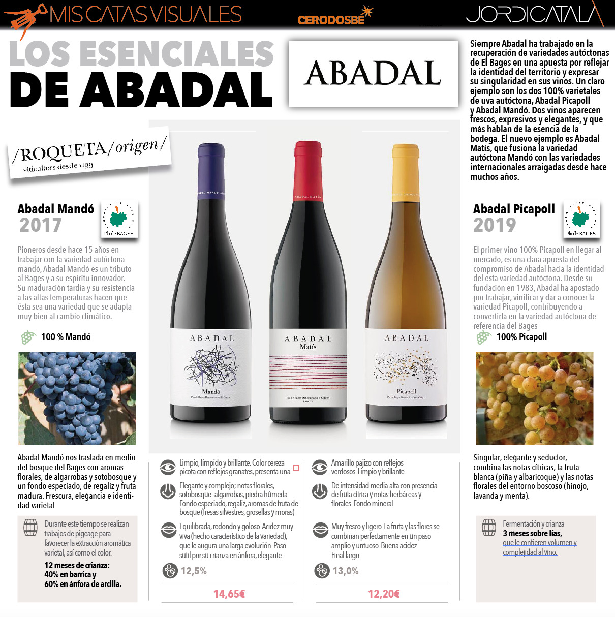 Abadal2 InfografiÌa Jordi CatalaÌ€