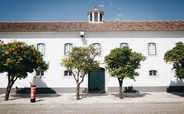 Algarve Foto Claudio Schwarz Purzlbaum Unsplash