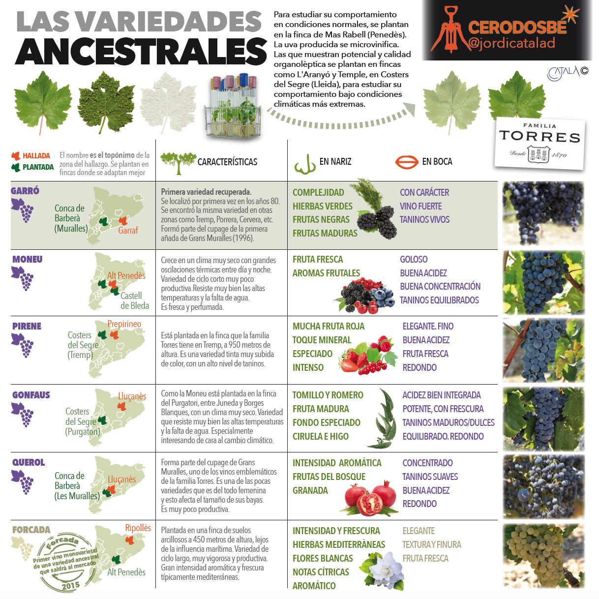 ancestrales INFO 2