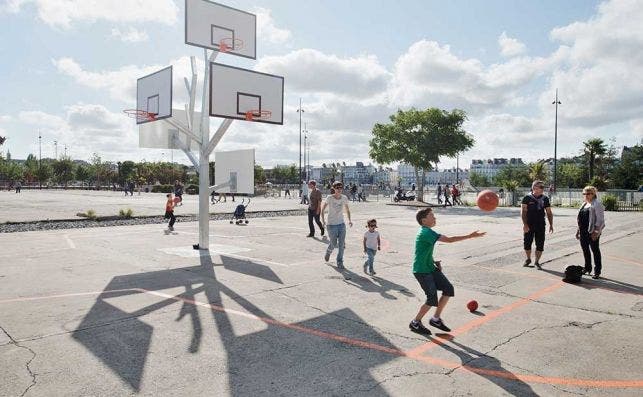 arbol basquet